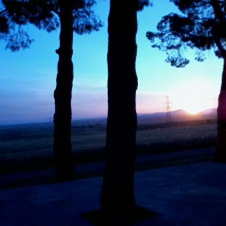 Agriturismo Toscanellaモンテベッロ エクステリア 写真