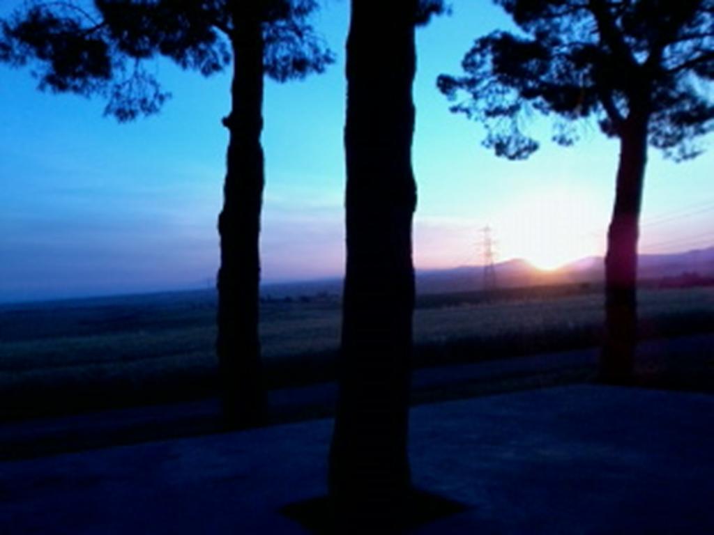 Agriturismo Toscanellaモンテベッロ エクステリア 写真