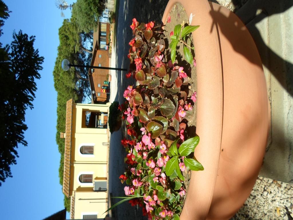 Agriturismo Toscanellaモンテベッロ エクステリア 写真