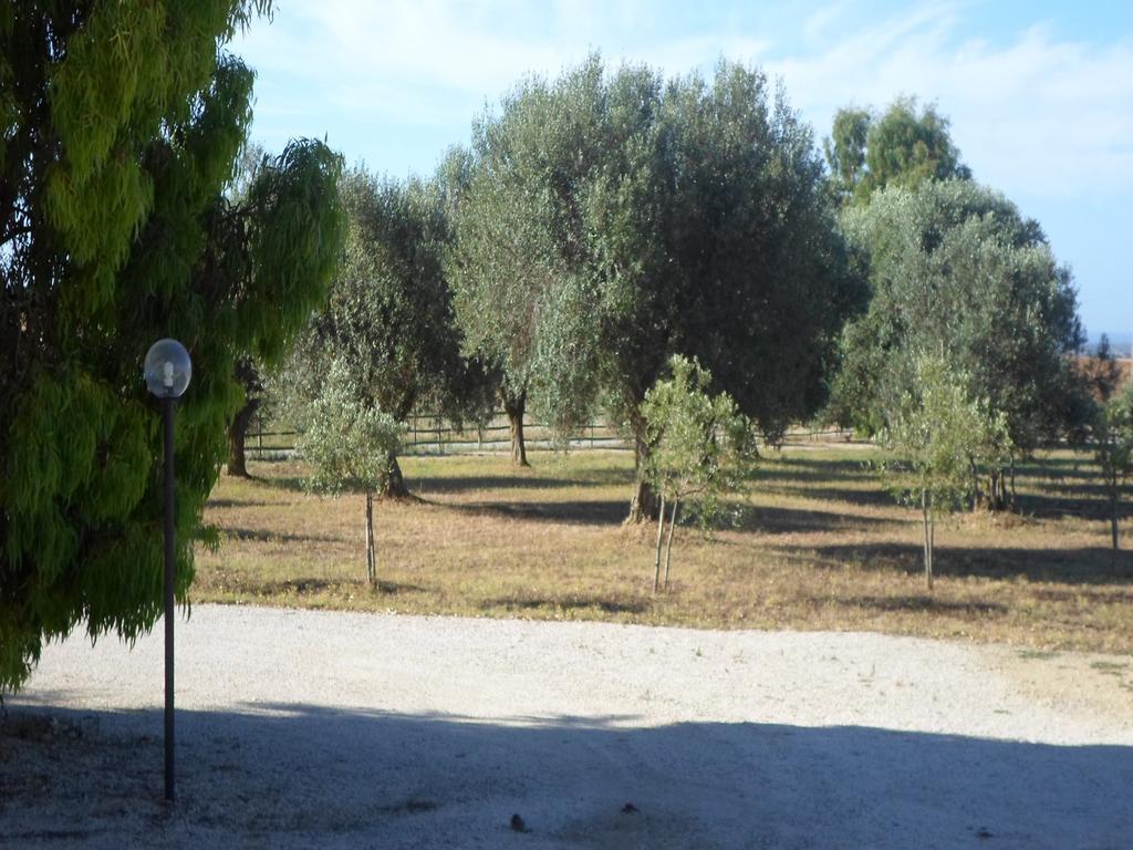 Agriturismo Toscanellaモンテベッロ エクステリア 写真